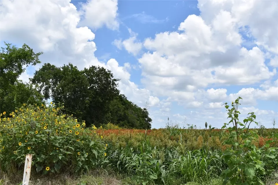  tbd County Road 109, Buckholts, TX 76518 photo 10