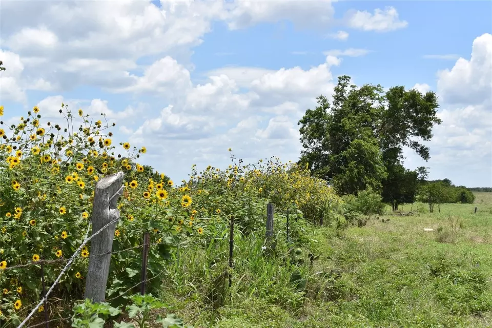  tbd County Road 109, Buckholts, TX 76518 photo 9