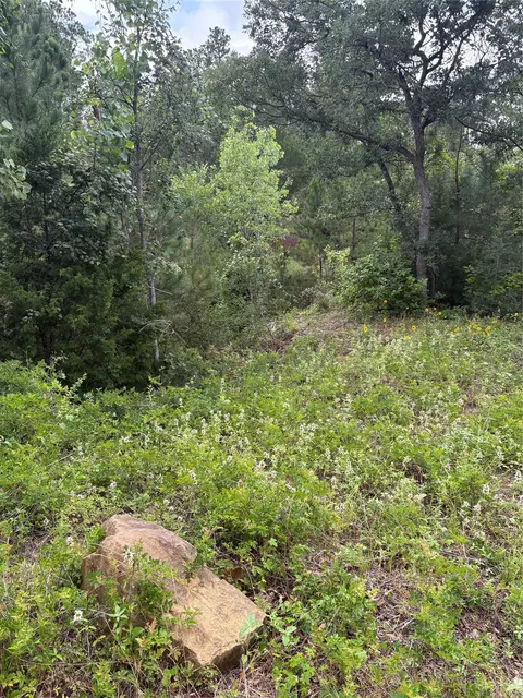tbd Kaena Ln, Bastrop, TX 78602
