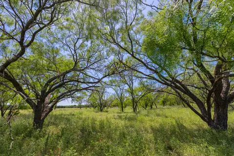 Undisclosed, Purmela, TX 76566