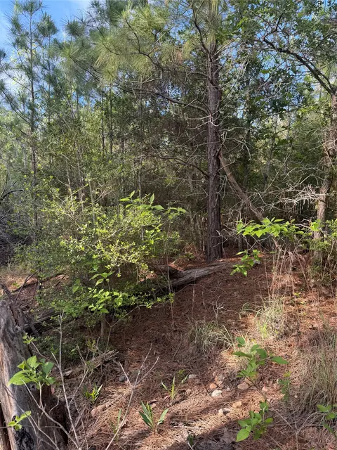 lot1384 Pahihi Dr, Bastrop, TX 78602