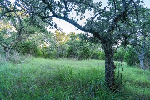 tbd Crabapple Rd, Blanco, TX 78606 photo 13