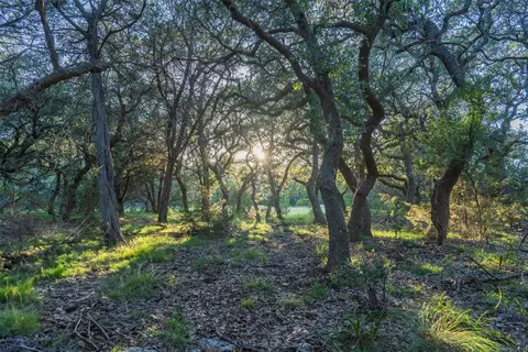 tbd Crabapple Rd, Blanco, TX 78606 photo 3