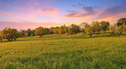305 Running Brook Trl, Spicewood, TX 78669