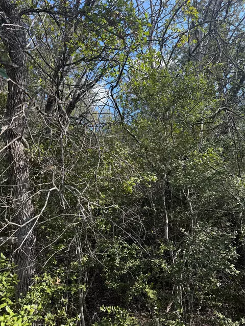 251 Iva Ln, Bastrop, TX 78602