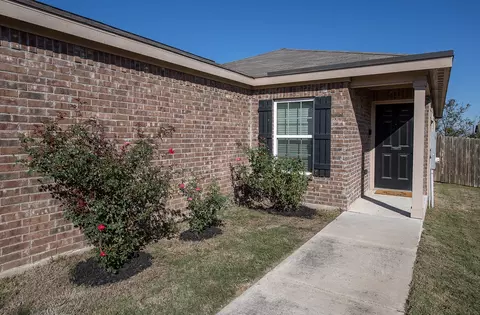 Exterior - 216 Millers Loop, Jarrell, TX 76537 photo 3 of 10