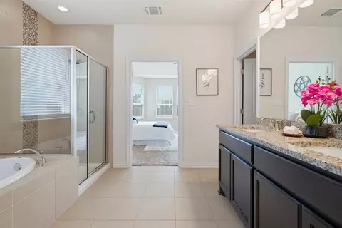 Bath - 12613 Twisted Root Dr, Manchaca, TX 78652 photo 3 of 5