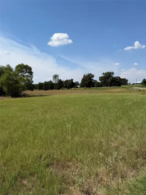 tbd Richmond St, Mcdade, TX 78650 photo 2