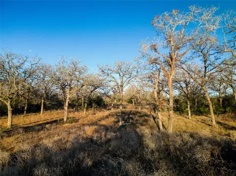 000 Sandy Pine Rd, Luling, TX 78648 photo 22