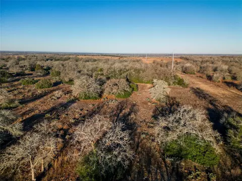 000 Sandy Pine Rd, Luling, TX 78648 photo 17