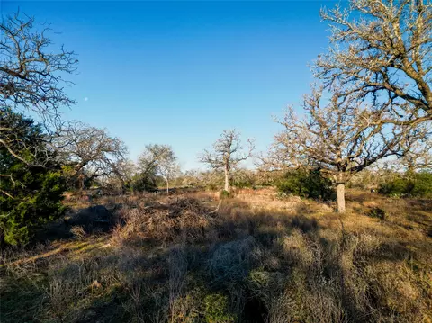 000 Sandy Pine Rd, Luling, TX 78648 photo 20