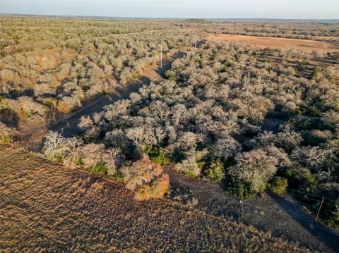 000 Sandy Pine Rd, Luling, TX 78648 photo 9