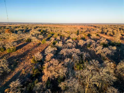 000 Sandy Pine Rd, Luling, TX 78648 photo 16