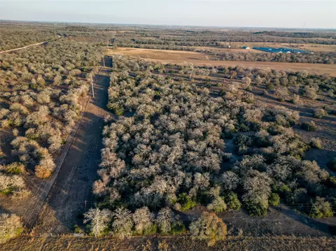 000 Sandy Pine Rd, Luling, TX 78648 photo 8