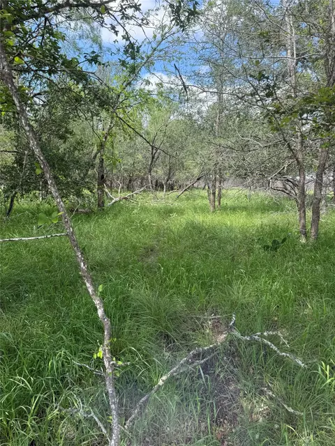 lot200 Nene Ln, Bastrop, TX 78602