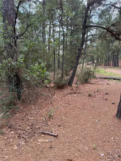 lot35 Tanglewood Dr, Bastrop, TX 78602