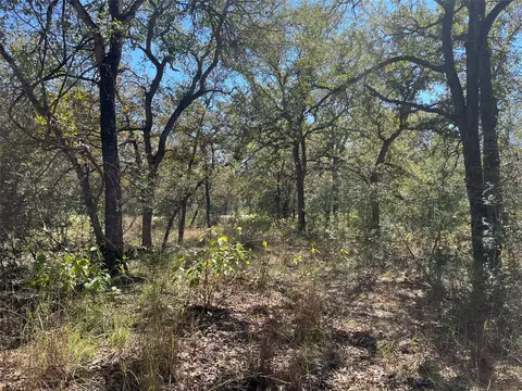 tbd Flash Cir, Luling, TX 78648 photo 5