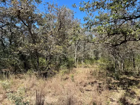 tbd Flash Cir, Luling, TX 78648 photo 3