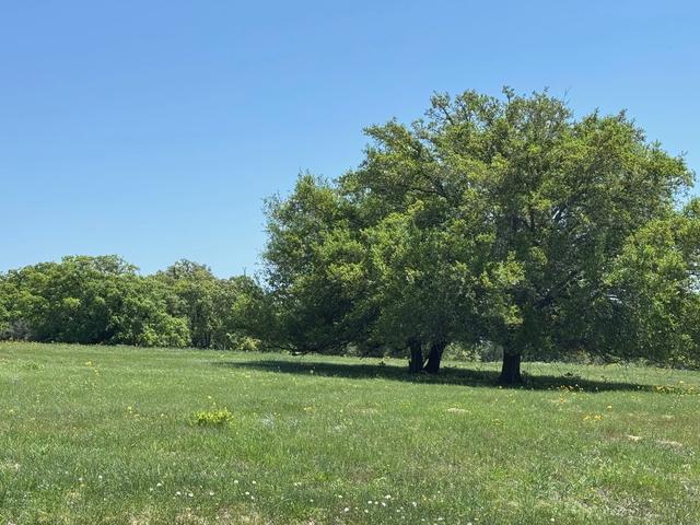3817 Fm 154 Rd, Muldoon, TX 78949