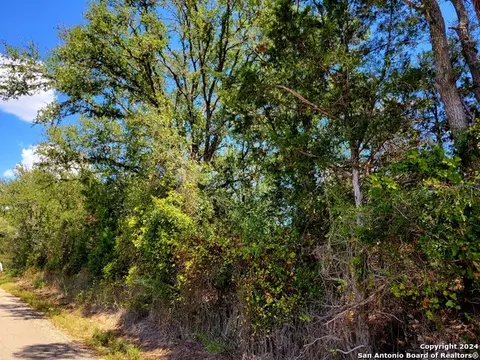 tbd Dale Rd, Dale, TX 78616