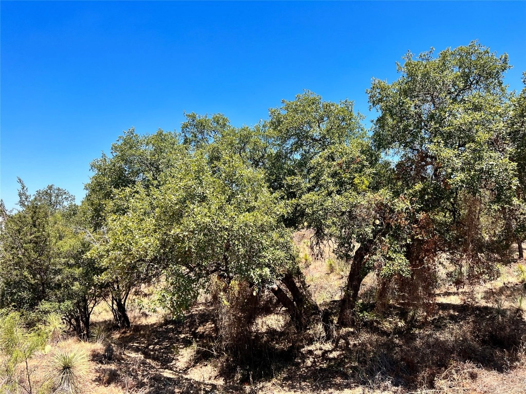 Lots 320-323 Tbd W Castlebriar Dr  