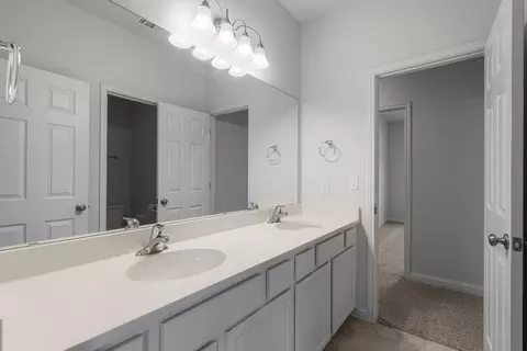 Bath - 16601 Sumptuous Dr, Manor, TX 78653 photo 4 of 4