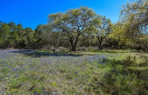 16205 Big Oak Cir, Leander, TX 78641