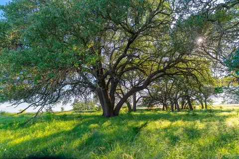 29 Feild Ranch Rd, Burnet, TX 78611 photo 30