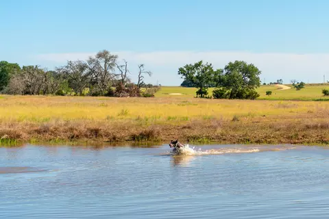 29 Feild Ranch Rd, Burnet, TX 78611 photo 36