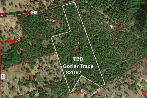tbd Gotier Trace Rd, Paige, TX 78659