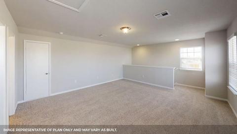 194 Cherry Laurel Ln, Kyle, TX 78640 photo 17