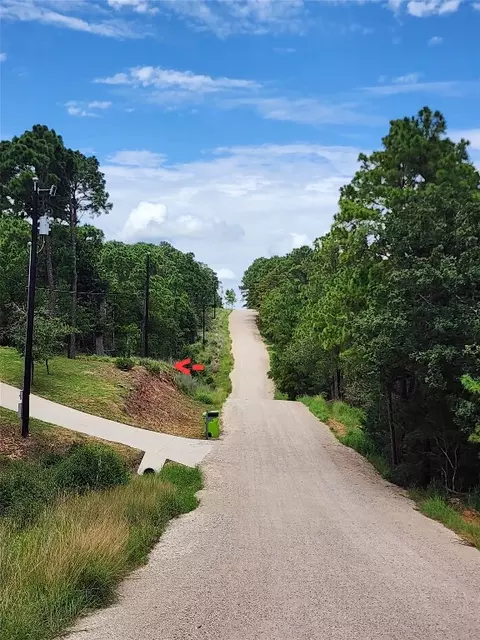 170 Molokini Dr, Bastrop, TX 78602