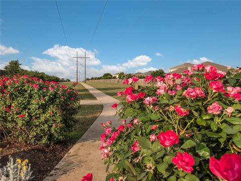 820 Circle Way, Jarrell, TX 76537 photo 34