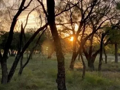 495 Buffalo Creek Dr, Evant, TX 76525