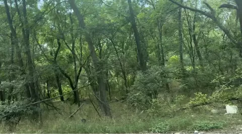 4200 Imperial Dr, Austin, TX 78725