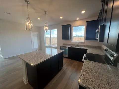 Kitchen - 255 Gus Loop, Georgetown, TX 78626 photo 2 of 2