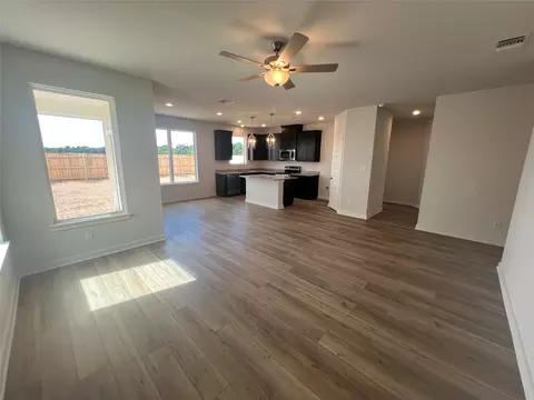 Living - 255 Gus Loop, Georgetown, TX 78626 photo 2 of 2