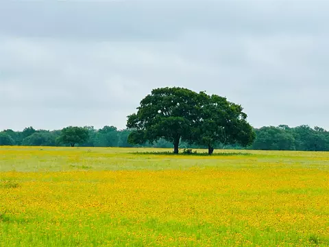 tbd Lot 5 County Road 127 Rd, Ledbetter, TX 78946