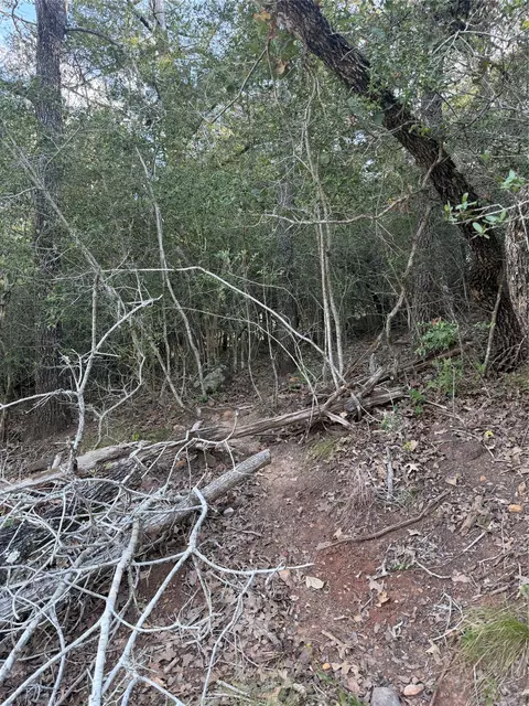 lot376 Palikea Cir, Bastrop, TX 78602