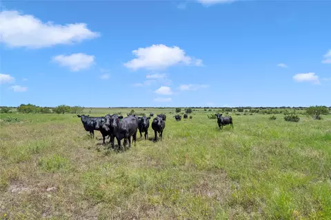 10600 County Road 210 Rd, Bertram, TX 78605 photo 28