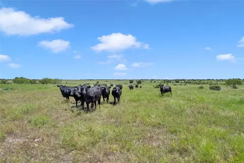 10600 County Road 210 Rd, Bertram, TX 78605 photo 28