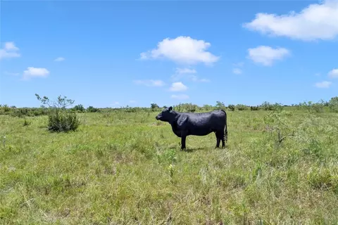 10600 County Road 210 Rd, Bertram, TX 78605 photo 32
