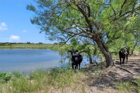 10600 County Road 210 Rd, Bertram, TX 78605 photo 4