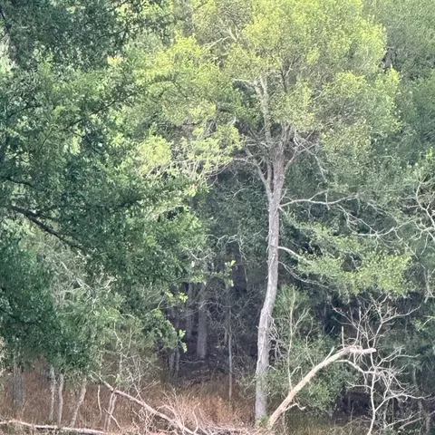 lot676 Kaukonahua Ln, Bastrop, TX 78602
