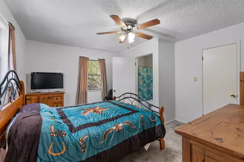 Bedroom - 455 Robins Ln, Bertram, TX 78605 photo 4 of 4