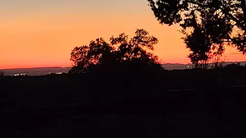 Other - 105 Sonora Dr, Bertram, TX 78605 photo 10 of 12