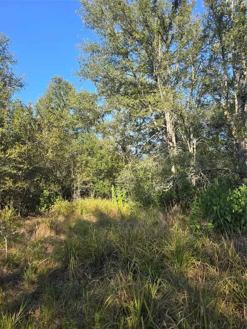 4791 County Road 473, Elgin, TX 78621 photo 35
