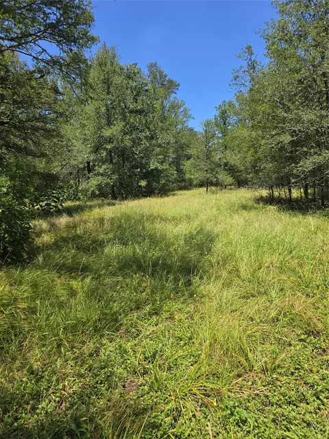4791 County Road 473, Elgin, TX 78621 photo 39