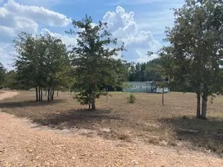 Fm 180, Ledbetter, TX 78946 photo 10