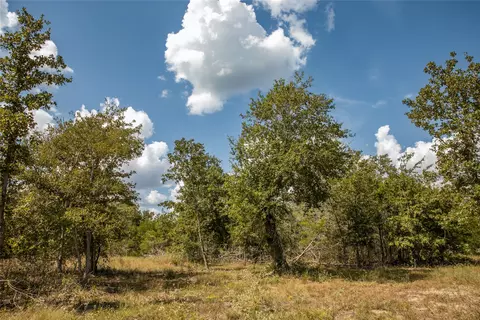Fm 180, Ledbetter, TX 78946 photo 8